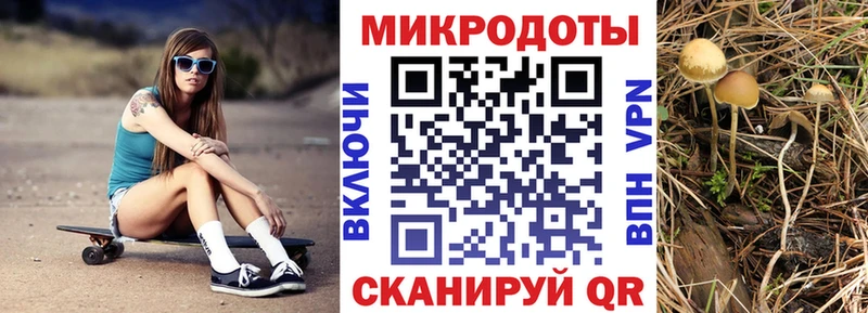 Галлюциногенные грибы ЛСД  цены   Томск 